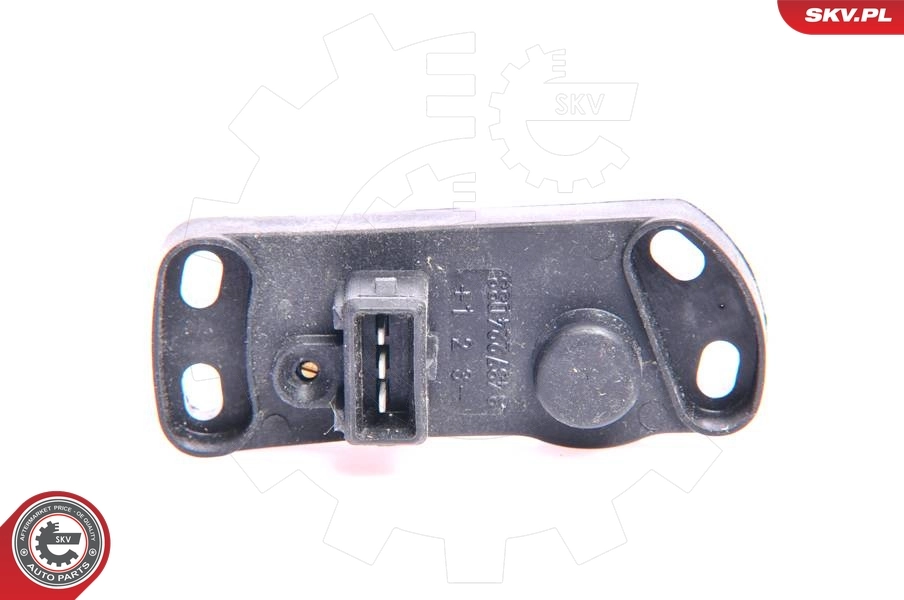 Adjusting Potentiometer, idle mixture
